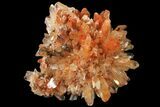 Orange Creedite Crystal Cluster - Durango, Mexico #99189-1